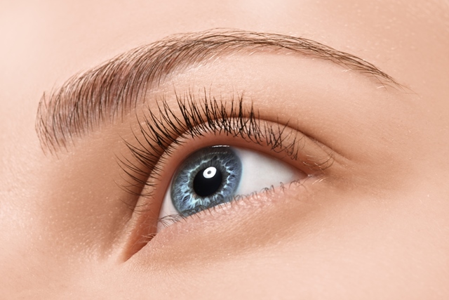 eyebrow transplant