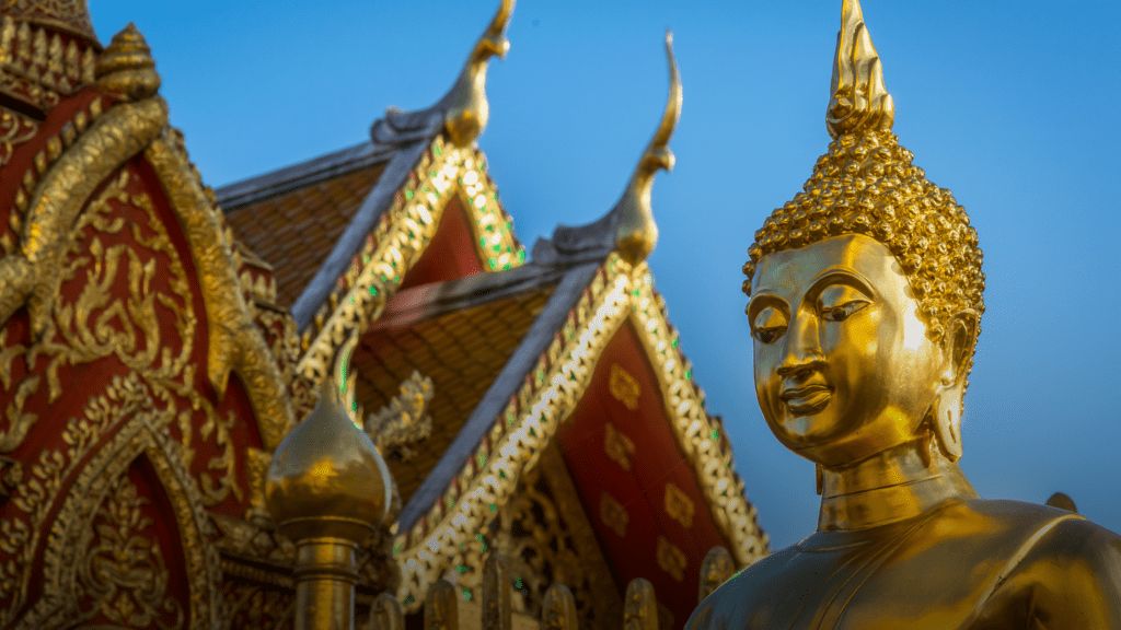 all-inclusive-hair-transplant-thailand